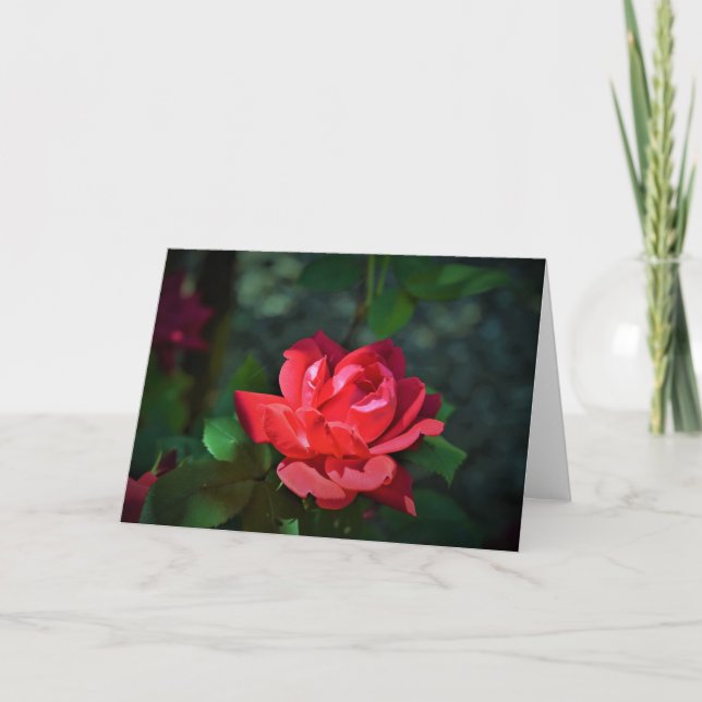 Carte allegoricallittera.blogspot.com Red Rose, rose (Devant)