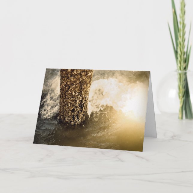 Carte Allégresse ! La grande tempête est terminée ! (Devant)