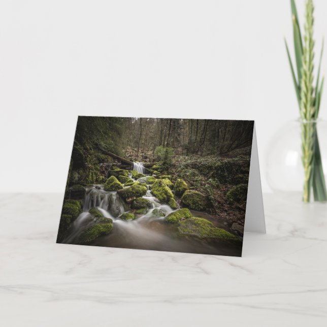 Carte Allemagne de la Forêt Noire (Devant)