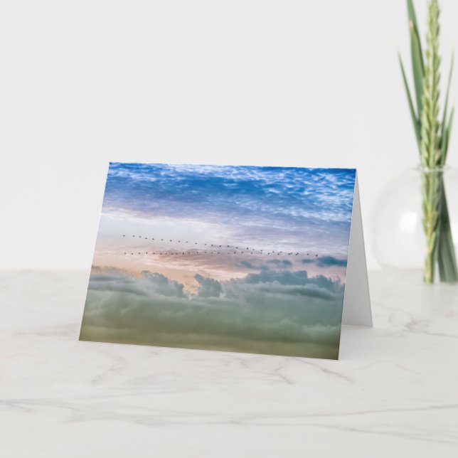 Carte Aller de l'avant Équipe de migration des oiseaux I (Devant)