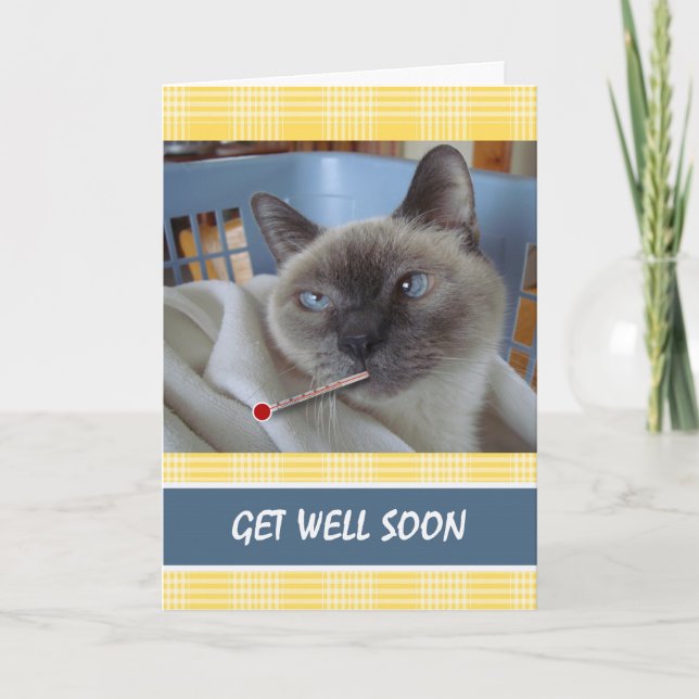 Carte Allez Bien Bientôt, Chat Malade, Récupération Puri (Devant)