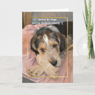 Carte Allez, chien bientôt