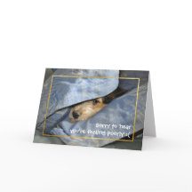 Allez, chien bientôt