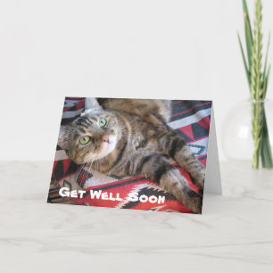 Carte Allez-y Chat bientôt