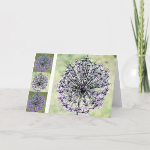 Carte Allium