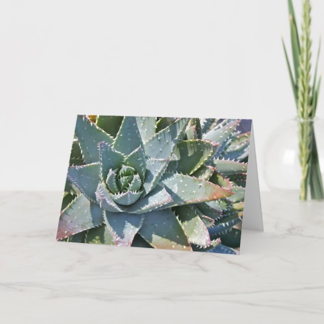 Carte Aloe par Debra Lee Baldwin (Devant)