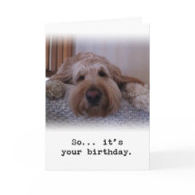 Alors... C'est ton anniversaire