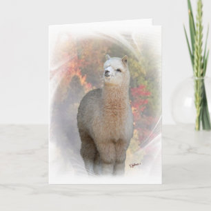Carte Alpaca Automne