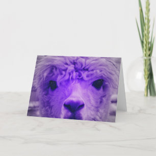 Carte Alpaca d'une autre couleur