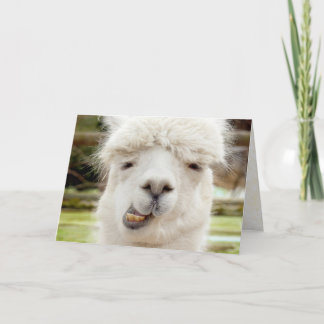 Carte Alpaca Funny