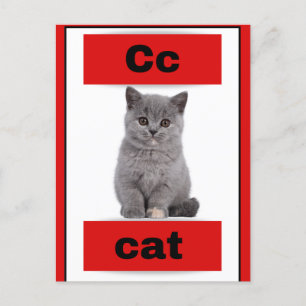 Carte alphabétique (avec photo réelle)Carte postal