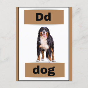 Carte alphabétique (avec photo réelle)Carte postal