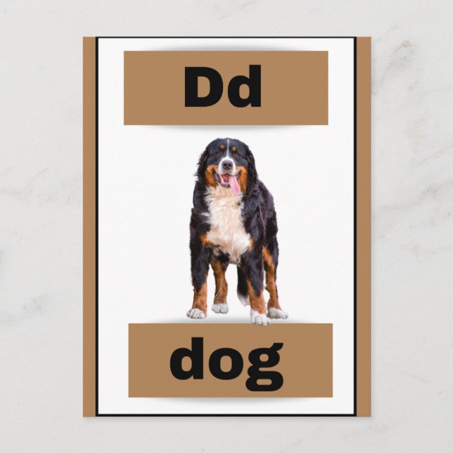 Carte alphabétique (avec photo réelle)Carte postal (Devant)