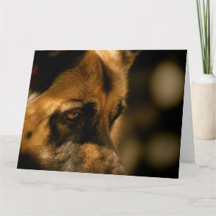 Carte Alsatian Emotions Anniversaire