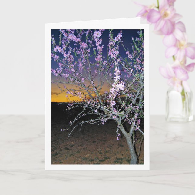 Carte Amandier la nuit (Orchidée)