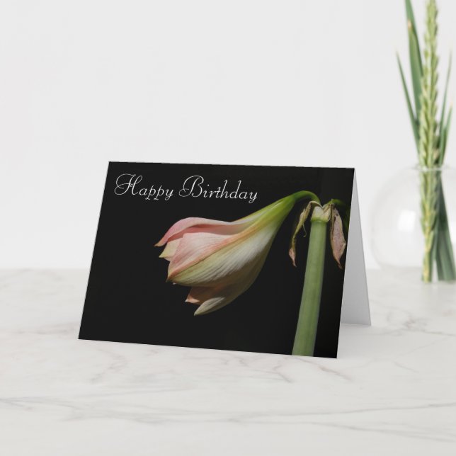 Carte Amaryllis 53 (Devant)