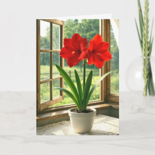 Carte Amaryllis rouge fleuri d'anniversaire