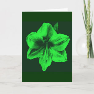 Carte Amaryllis vert