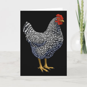 Carte Amateur de poule Plymouth Rock rouge 