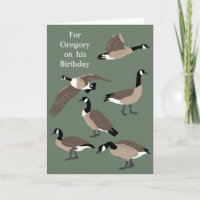 Amateurs d'oiseaux Illustration de l'oie du Canada