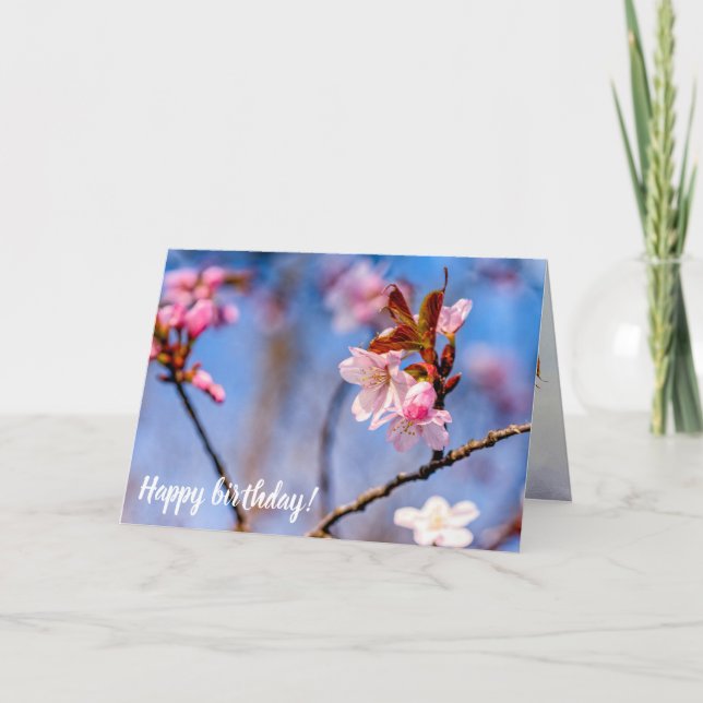 Carte Ambiance Des Fleurs De Sakura Frais Au Printemps (Devant)