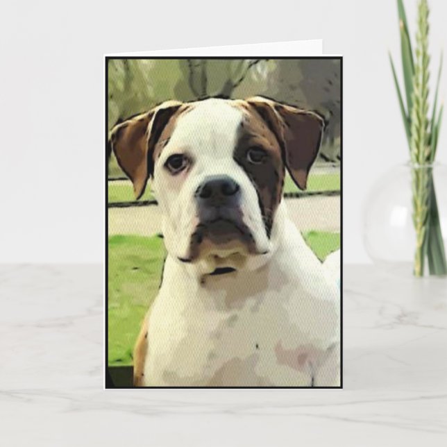 Carte American bulldog greeting card (Devant)