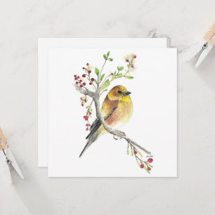 Carte American Goldfinch Bird Berries