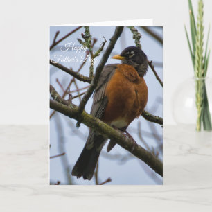 Carte American Robin Happy Fête des pères Card