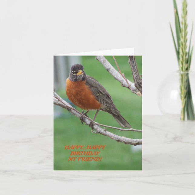 Carte Ami d'anniversaire, Robin & Cake (Devant)