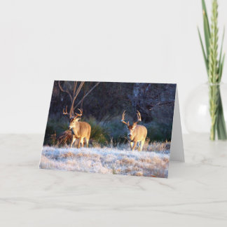 Carte Ami de combat - 04
