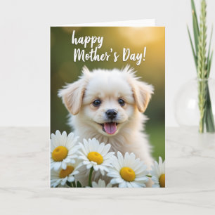 Carte Ami en Peluche Douce