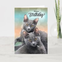 Amis Anniversaire Gris Chats pour l'Amoureux des c