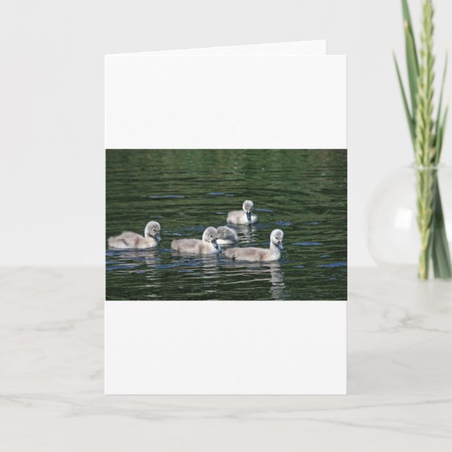 Carte Amis de natation (Devant)