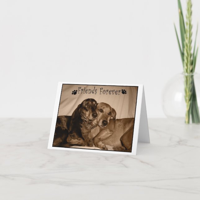 Carte Amis pour toujours (Devant)