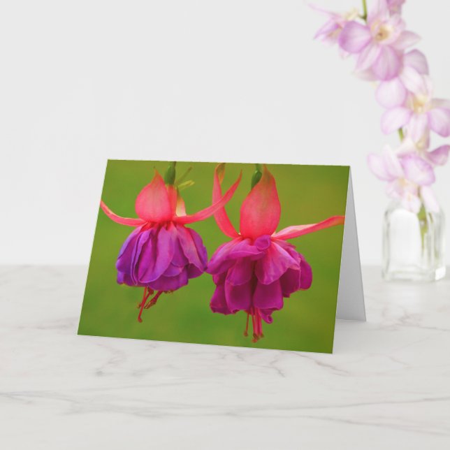 Carte Amitié florale Cancer Encouragement (Orchidée)