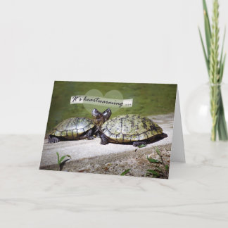 Carte Amitié réconfortante, deux tortues