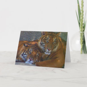 Carte Amitié/Toute Occasion