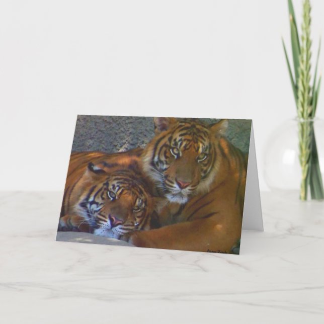 Carte Amitié/Toute Occasion (Devant)