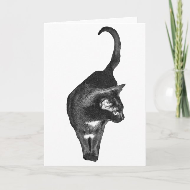 Carte Amitiés de chat doux (Devant)