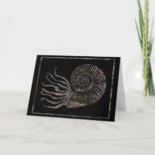 Carte Ammonite Fossil Talking Canyons, Nouveau-Mexique C