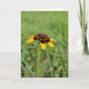 Carte Among the Wildflowers Notecards