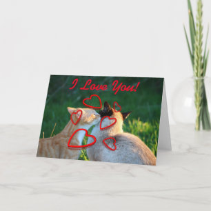 Carte Amour de baiser de chat