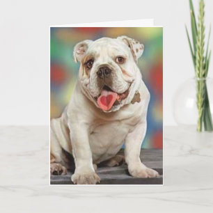 Carte Amour de Bulldog