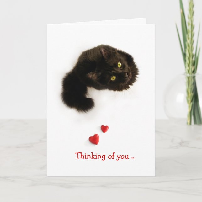 Carte Amour de Chat Pensées pour Toi (Devant)