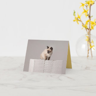 Carte Amour de chaton