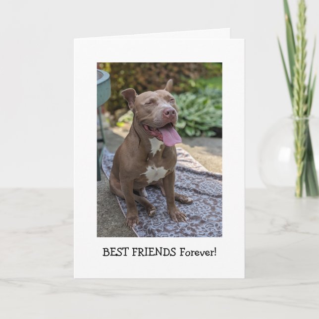 Carte Amour de Pitbull Pensée pour toi (Devant)