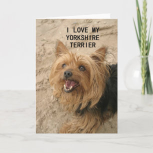 Carte amour de yorkshire terrier avec photo noir et feu