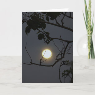 Carte Amour Pleine lune