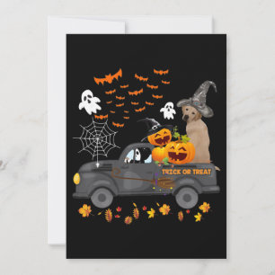 Carte Amoureux des chiens  Chariot Ou Traitement De Cami