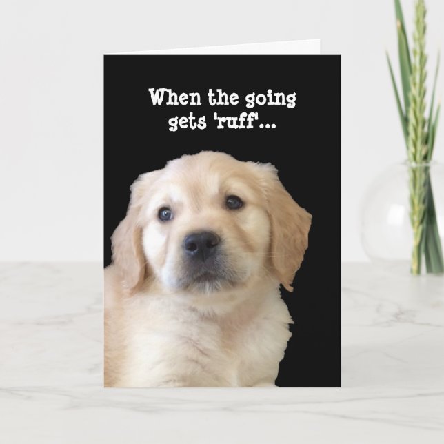 Carte Amoureux des chiens Get Well Card (Devant)